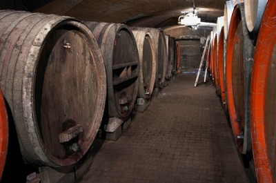 Old wooden vats in the wine cellar