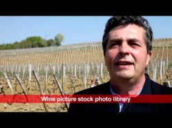 Denis Dubourdieu, winemaker and consultant