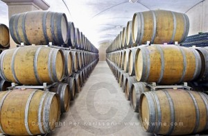 A wine cellar filled with oak barrels