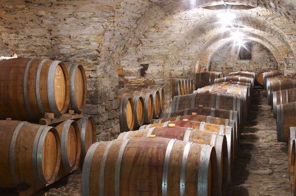 Wine cellar at Chateau de Cazeneuve