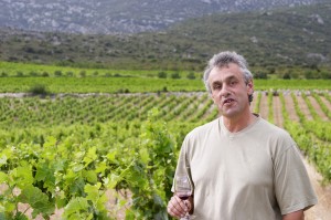 The winemaker in the vineyard
