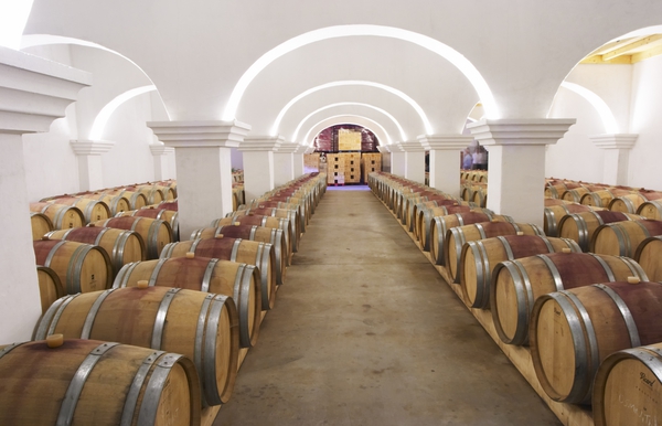 The barrel aging room in the wine cellar