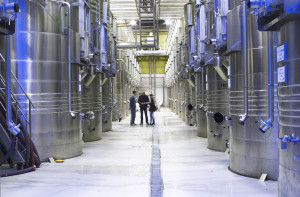 Tanks in the winery