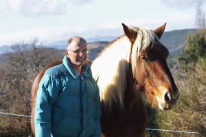 a vineyard horse