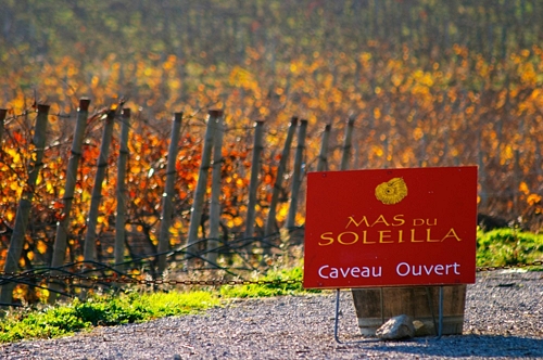 Mas du Soleilla, Languedoc