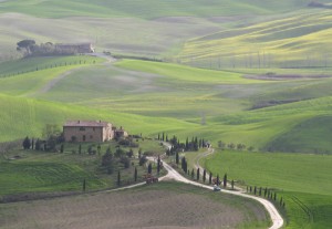 tuscan landscape