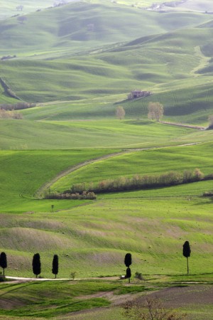 tuscan landscape