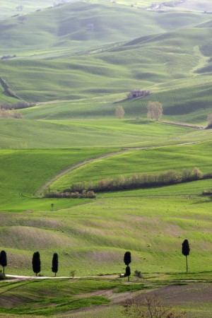 View over the landscape in southern Tuscany