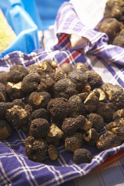 Black truffles at the truffles market in Alba in Piemonte