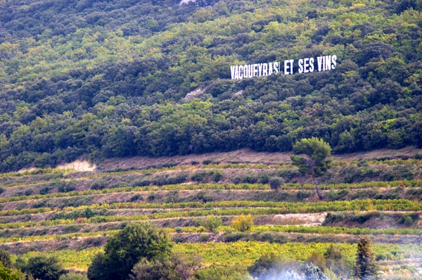 View over the Vacqueyras vineyards