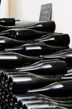 Bottles aging in the cellar