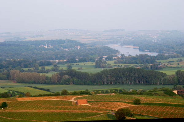 Vineyards, view of landscape and the Loire river