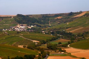 sancerre vineyards