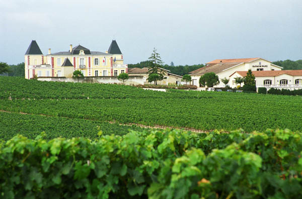 Chateau de France, Graves, Bordeaux