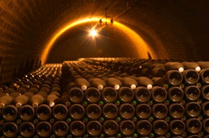 champagne bottles in the cellar