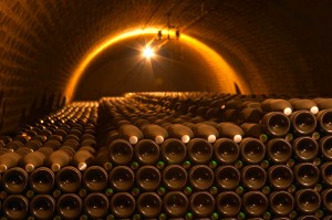 champagne bottles in the cellar