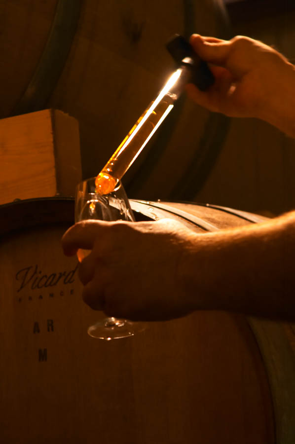 Sampling future champagne from an oak barrel