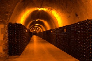 bottles in a champagne cellar