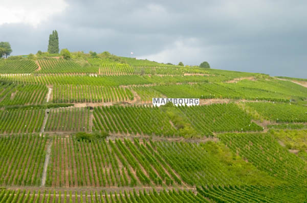 Grand cru vineyards in Alsace