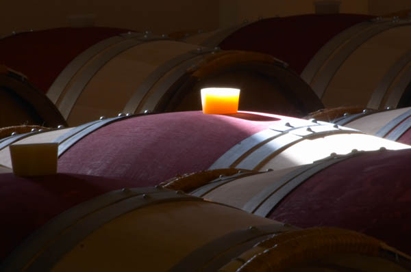 Wine aging in a barrel in the cellar