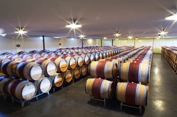 A barrel cellar filled with wine