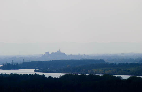 A view over the city Avignon and the Rhone