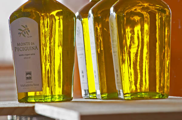 Olive oil bottles