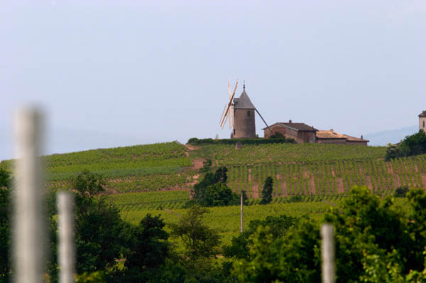 The windmill at Moulin a Vent in Beaujolais