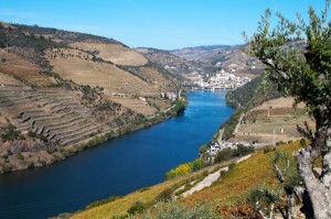 douro landscape