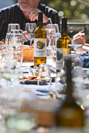 Wine and food on the table at lunch