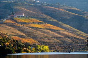 douro river and vineyards