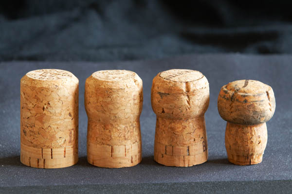 Champagne corks showing the evolution of shape with time