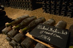 old burgundy bottles