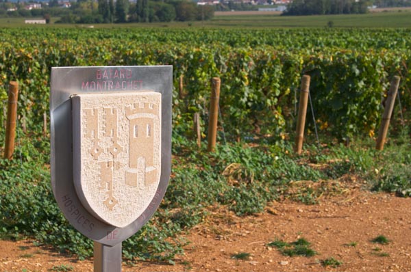 Batard Montrachet, Hospices de Beaune Grand Cru vineyard