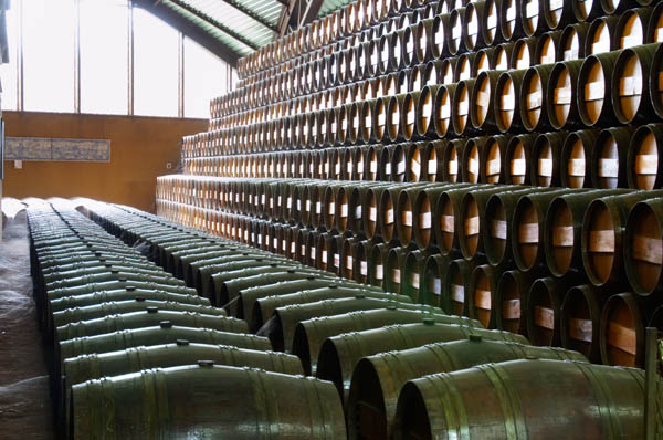 Oak barrel aging and fermentation cellar. Bacalhoa Vinhos, Azeitao, Portugal