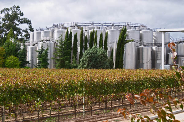 Fermentation tanks. Bacalhoa Vinhos, Azeitao, Portugal