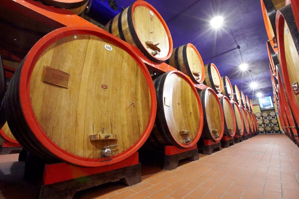 Wooden vats in the cellar