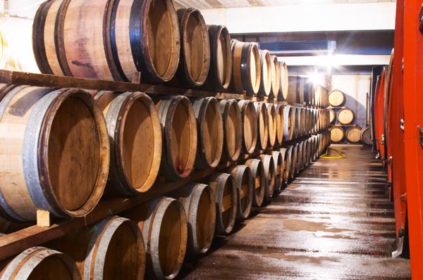 Barrel cellar with barriques