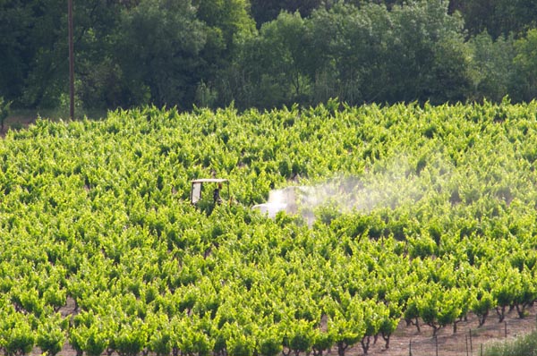 Spraying the vineyards in Languedoc