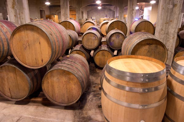 Domaine Gauby barrel cellar