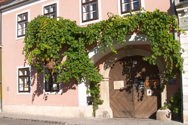 Winery in Rust on the Neusiedlersee, Austria