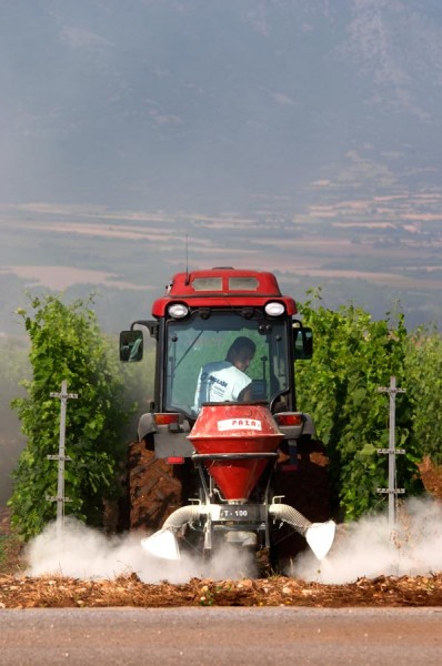 Spraying a vineyard