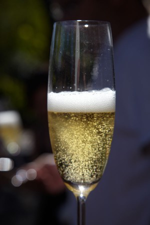 glass of sparkling wine