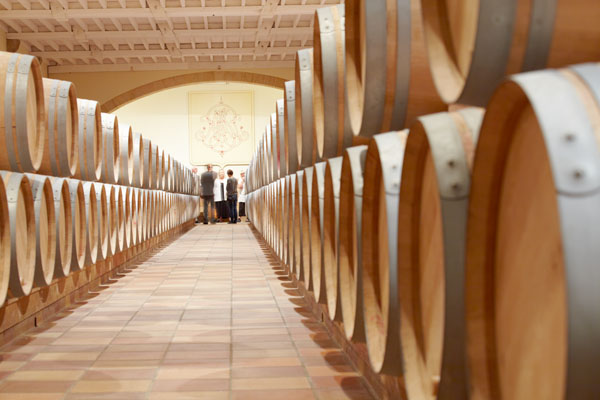 Wine barrels in the cellar