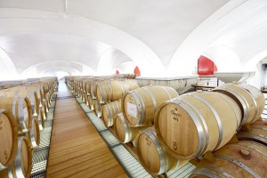a wine cellar in Campania