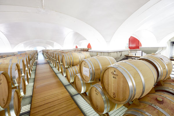 The vaulted barrel cellar