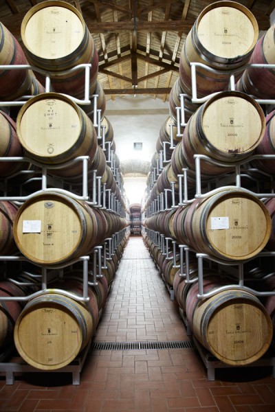 The barrel cellar