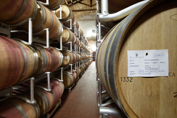 In the barrel cellar