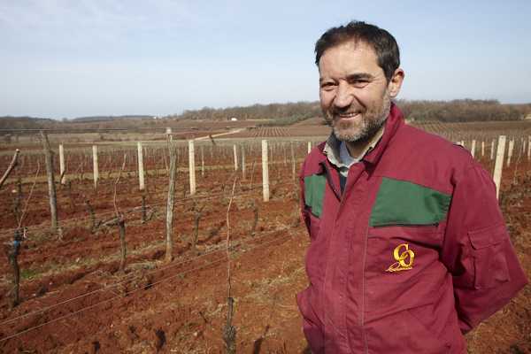 Moreno Coronica of Coronica winery in Istria, Croatia