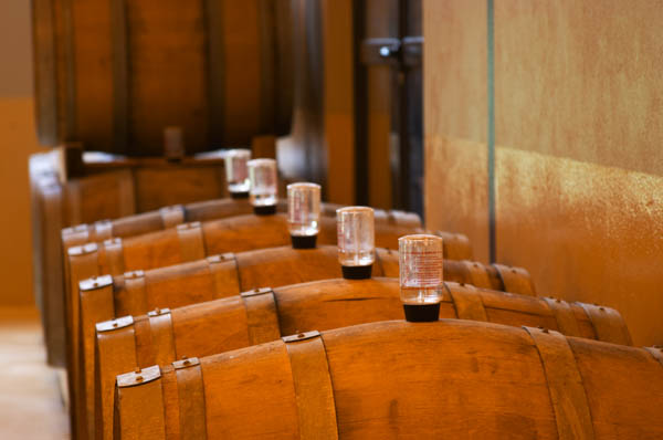 A row of barrels with fermenting champagne